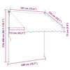 vidaXL Tenda da Sole Retrattile Manuale con LED 200 cm Antracite - Image 6 of 6