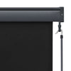 vidaXL Tenda a Rullo per Esterni 80x250 cm Antracite - Image 5 of 7