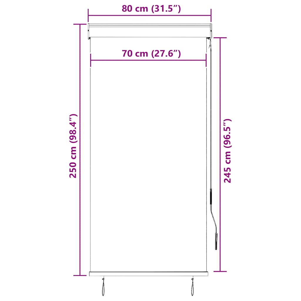 vidaXL Tenda a Rullo per Esterni 80x250 cm Antracite - Image 7 of 7