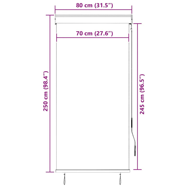 vidaXL Tenda a Rullo per Esterni 80x250 cm Antracite - Image 7 of 7