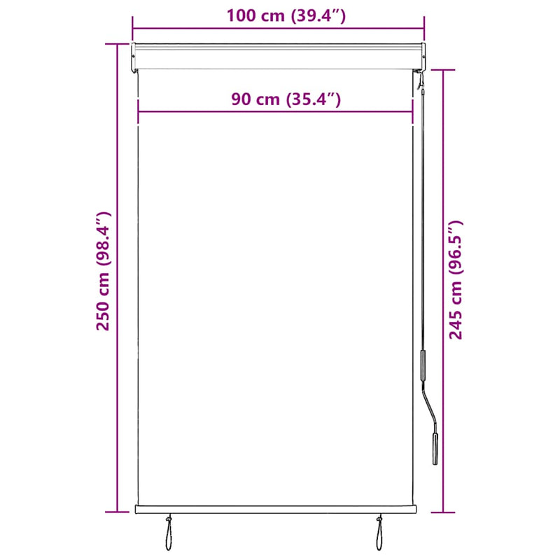 vidaXL Outdoor Roller Blind, 100x270 cm, Anthracite Polyester - Image 32 of 39