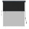 vidaXL Tenda a Rullo per Esterni 140x250 cm Antracite - Image 2 of 8