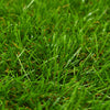 vidaXL Prato Artificiale in Polipropilene 1,33x5 m Verde - Image 2 of 6