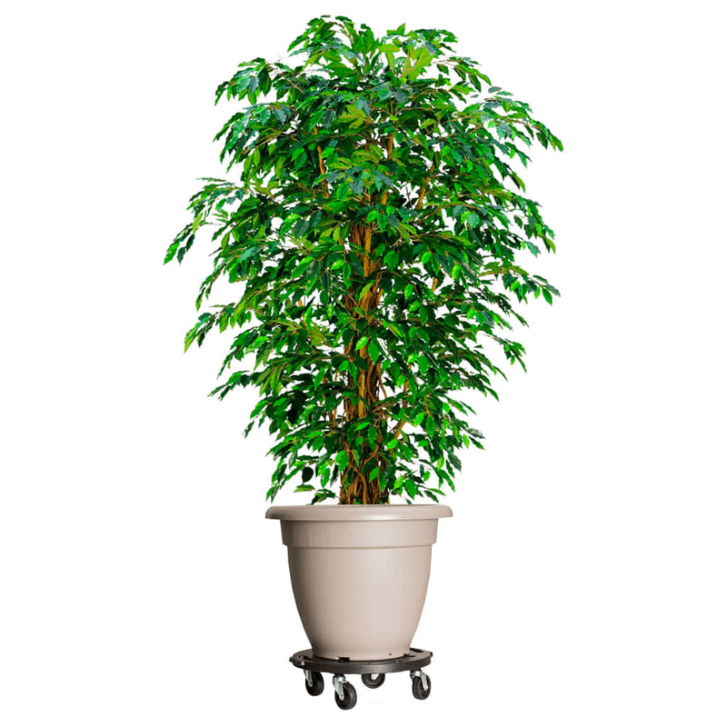 vidaXL Carrello per Piante con Ruote Diametro 40 cm Nero 275 kg - Image 1 of 6