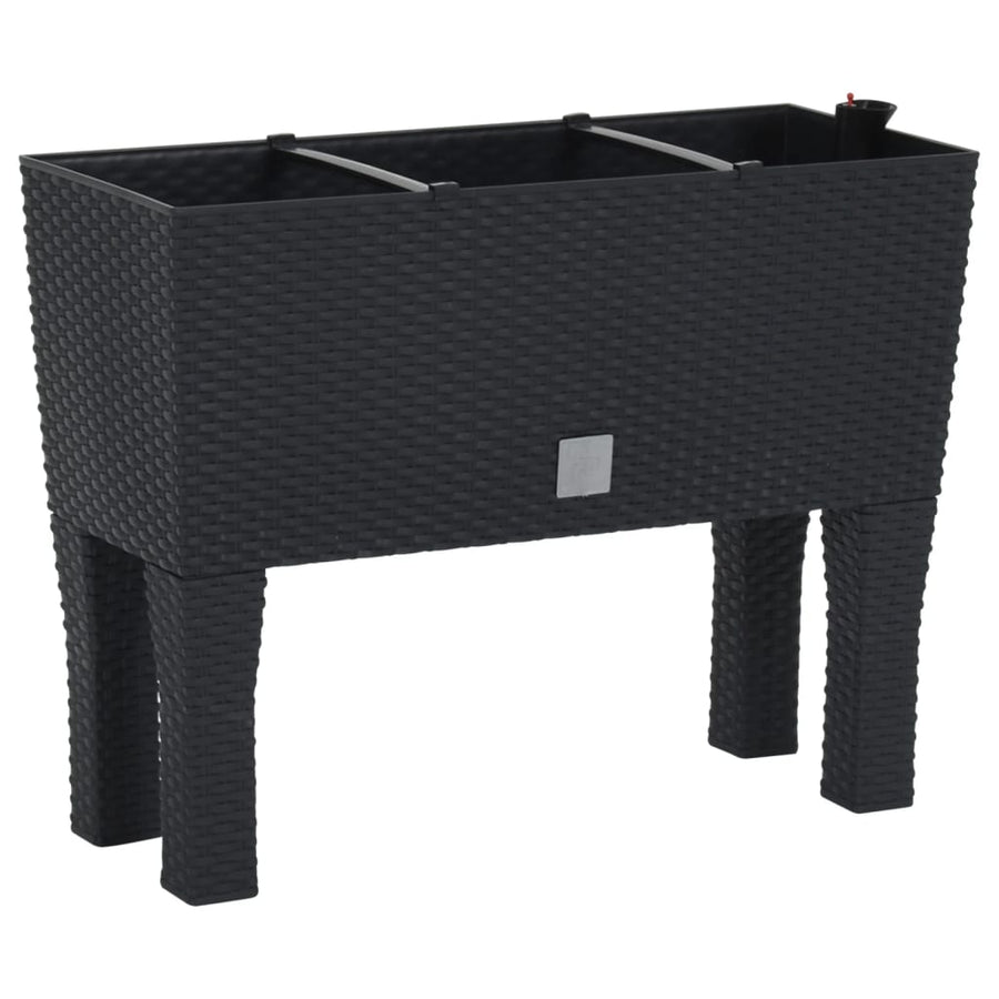 Fioriera Rialzata in Polipropilene Effetto Rattan 60x25x46 cm Antracite - immagine 1 | SolPatio