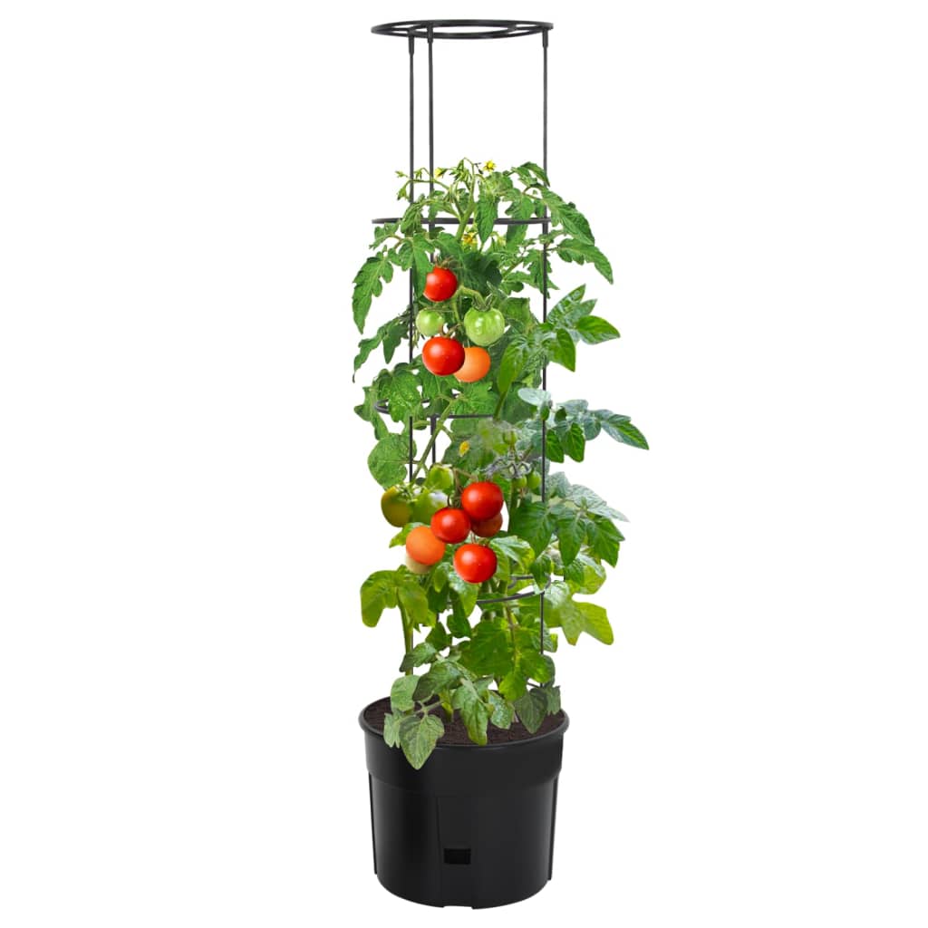 vidaXL Tomato Tower Planter, Polypropylene, 39x150 cm, Anthracite - Image 1 of 4