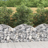 Cesto Gabbione ad Arco in Ferro Zincato 100×30×60/80 cm Argento - Image 1 of 4
