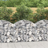 vidaXL Cesto Gabbione ad Arco 100x30x80/100 cm Ferro Zincato - Image 1 of 4