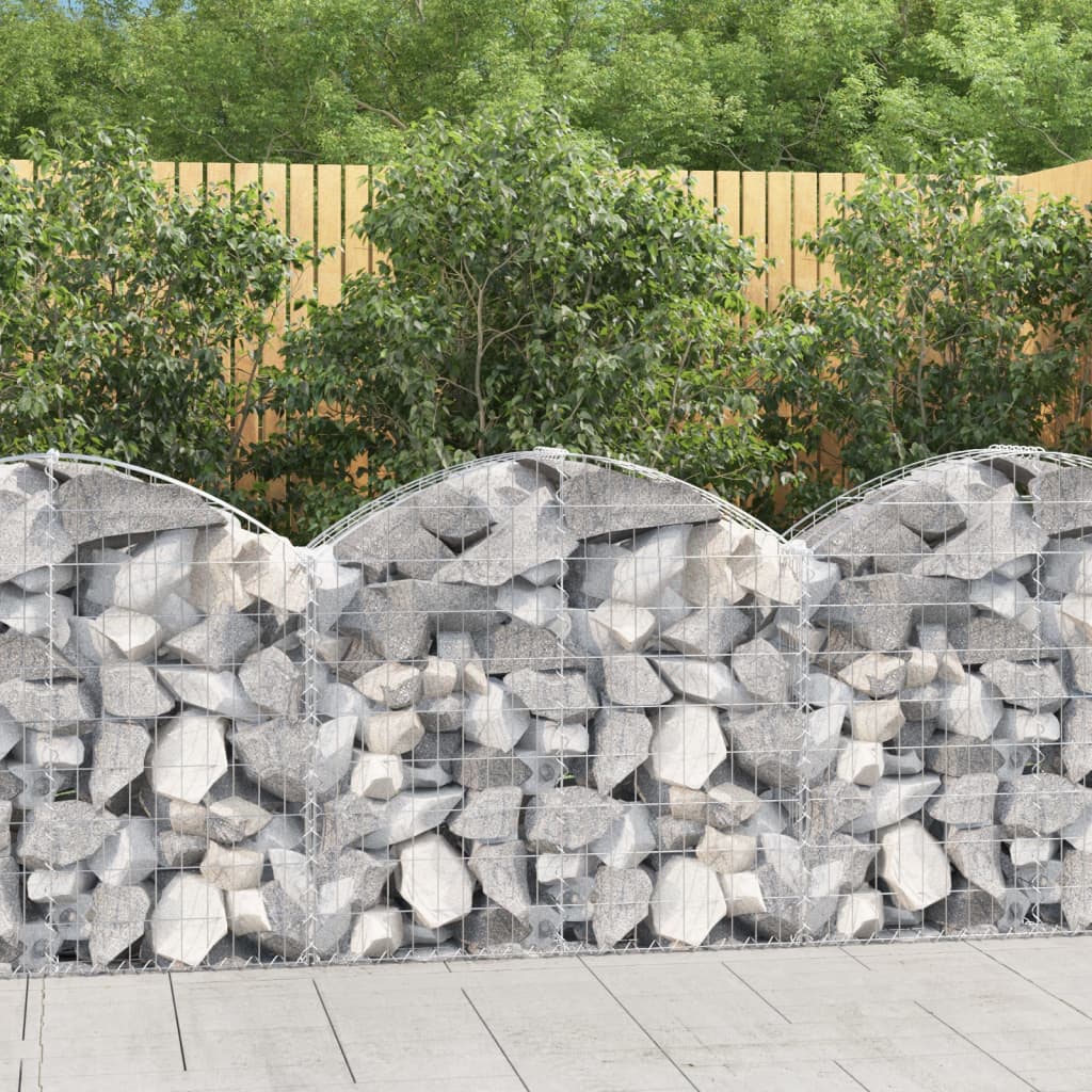 vidaXL Cesto Gabbione ad Arco 100x30x80/100 cm Ferro Zincato - Image 1 of 4