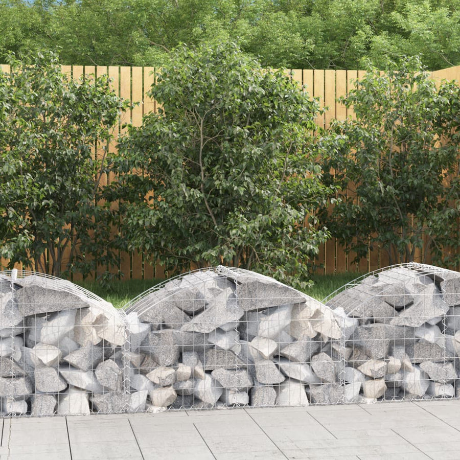 Cesto Gabbione ad Arco 100x50x40/60 cm Ferro Zincato - immagine 1 | SolPatio