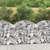 vidaXL Cesto Gabbione ad Arco 100x50x80/100 cm Ferro Zincato - Image 1 of 4