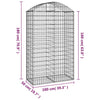 Cesto Gabbione ad Arco in Ferro Zincato 100×50×160/180 cm Argento - Image 4 of 4