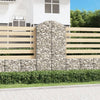 vidaXL Cesto Gabbione ad Arco 100x50x180/200 cm Ferro Zincato - Image 1 of 4