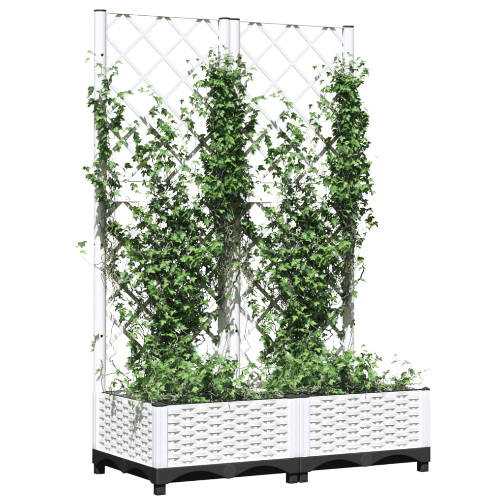 Fioriera da Giardino con Graticcio Bianco 80x40x121,5 cm PP - immagine 13 | SolPatio - Image 13 of 16