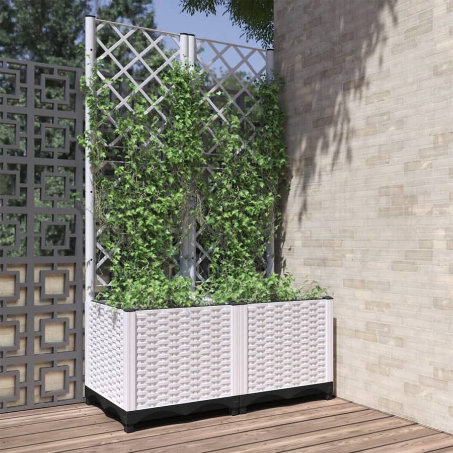 Fioriera da Giardino con Graticcio in PP 80x40x136 cm, Bianco - immagine 1 | SolPatio