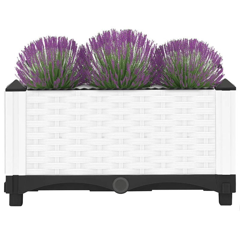 vidaXL Fioriera Rialzata 160x40x23 cm in Polipropilene - Image 16 of 52
