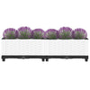 vidaXL Fioriera Rialzata 80x40x38 cm in Polipropilene - Image 15 of 50