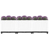 vidaXL Raised Planter, Polypropylene, 160x40x38 cm, Light Grey - Image 14 of 60