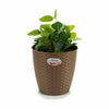 Macetero Stefanplast Marrón Plástico 24 x 22,5 x 24 cm (6 Unidades) - Image 3 of 3