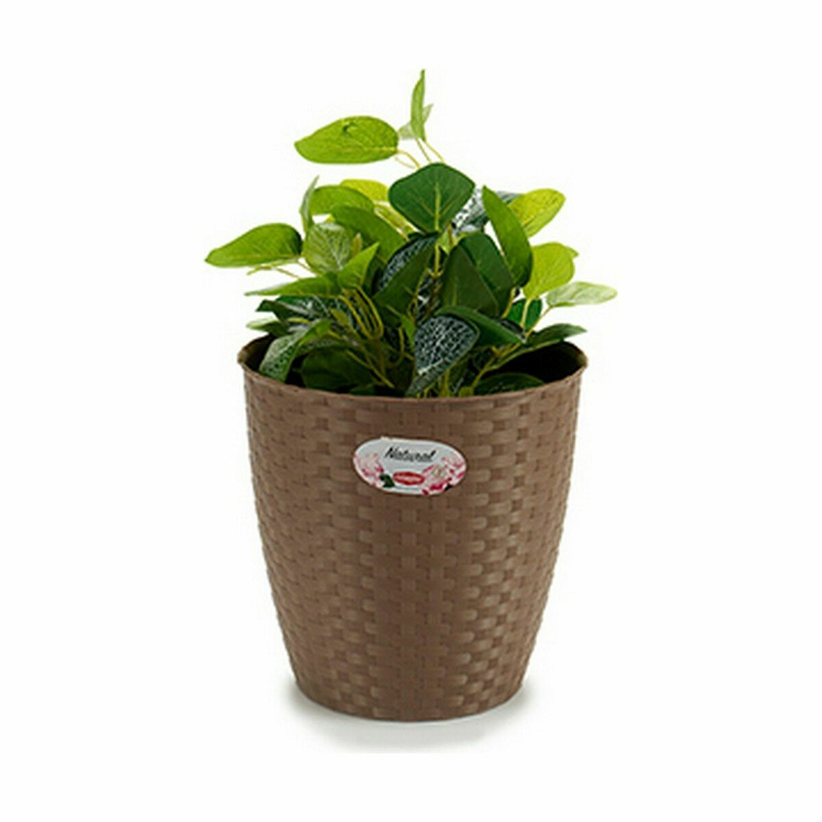 Macetero Stefanplast Marrón Plástico 24 x 22,5 x 24 cm (6 Unidades) - Image 3 of 3