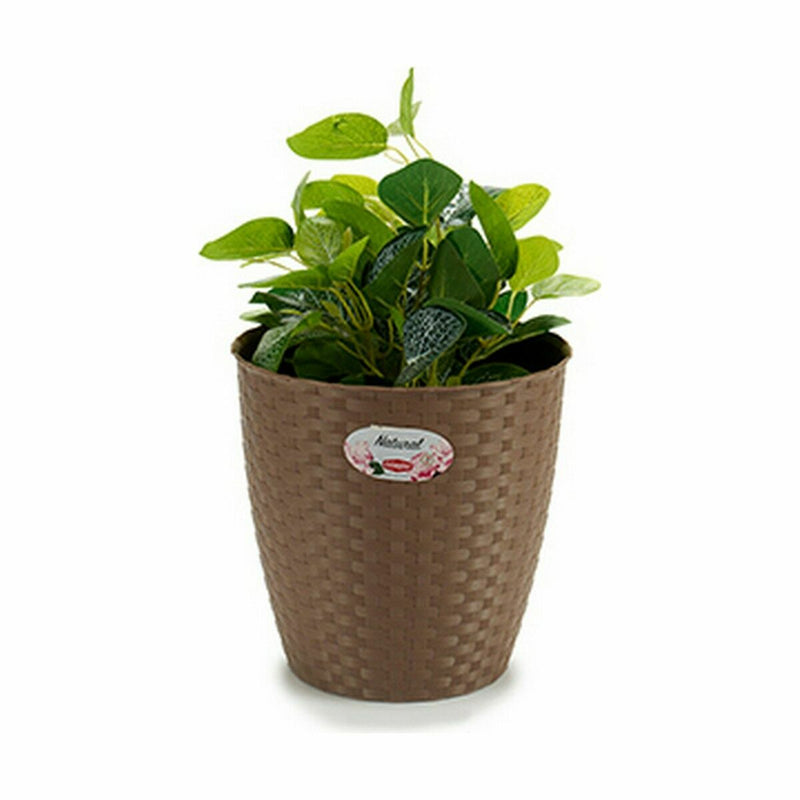 Macetero Stefanplast Marrón Plástico 24 x 22,5 x 24 cm (6 Unidades) - Image 3 of 3