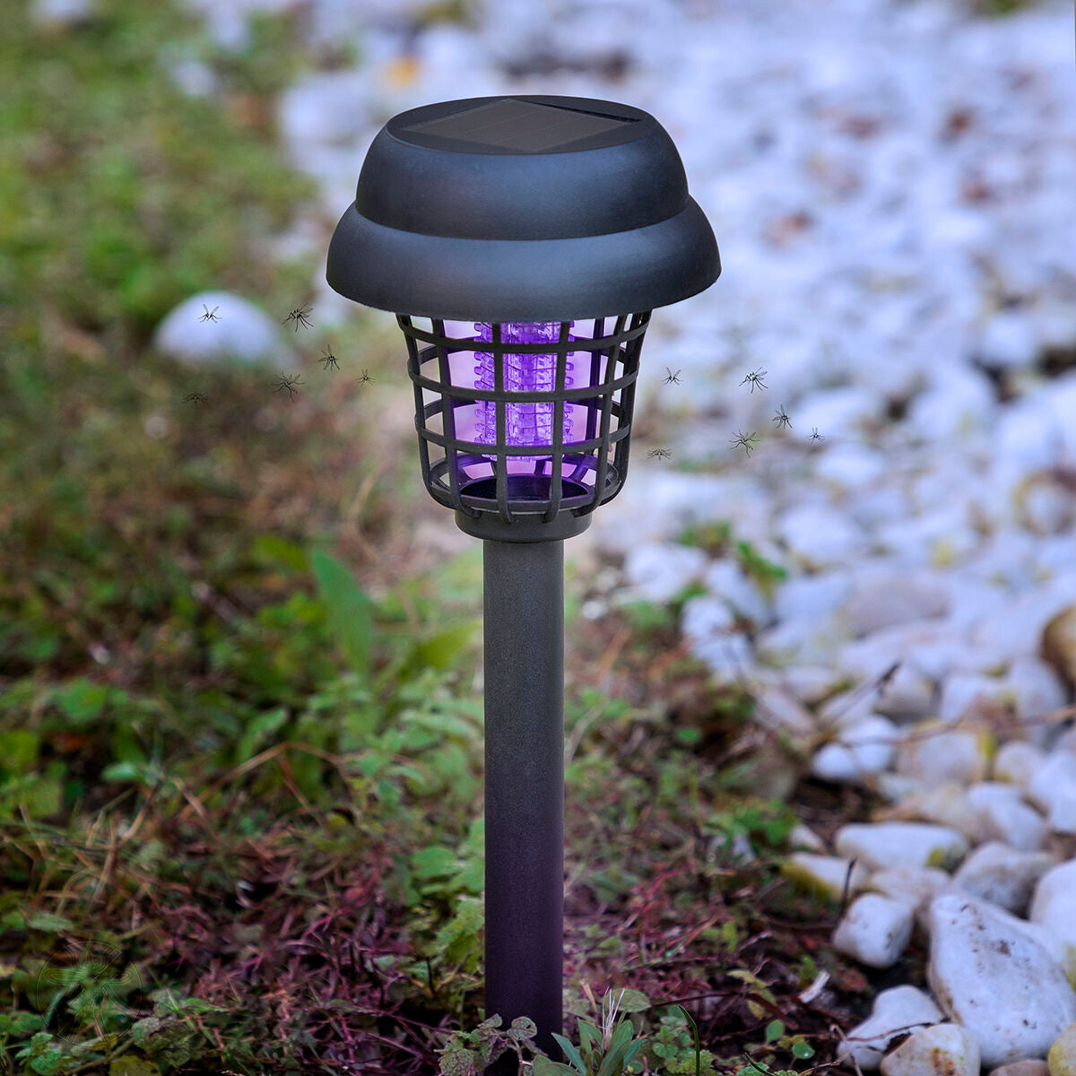 Lampada Solare Antizanzare per Giardino Garlam InnovaGoods - Image 13 of 13