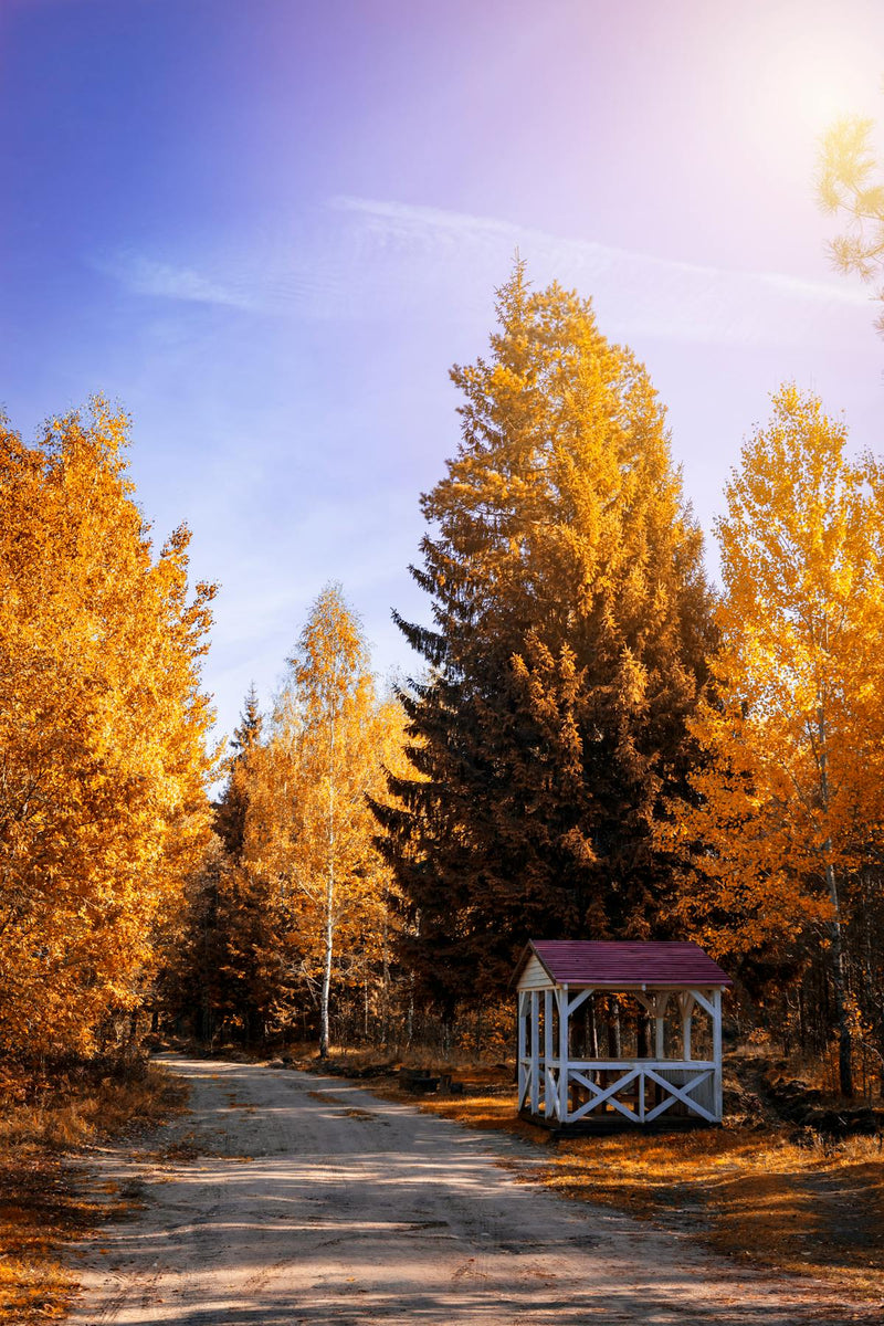 Casette da giardino - Collezione SolPatio